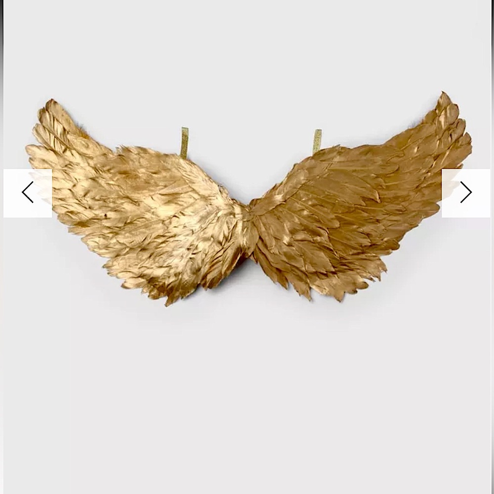 High Quality Gold Costume Wings